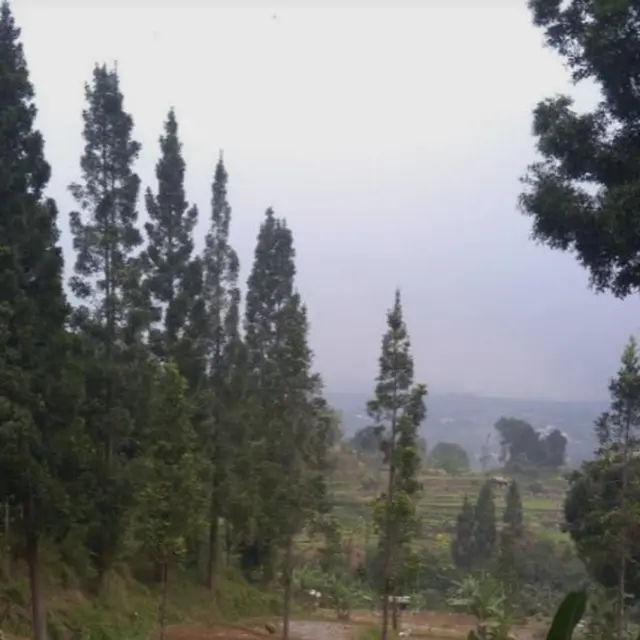 Desa Wisata Cilember