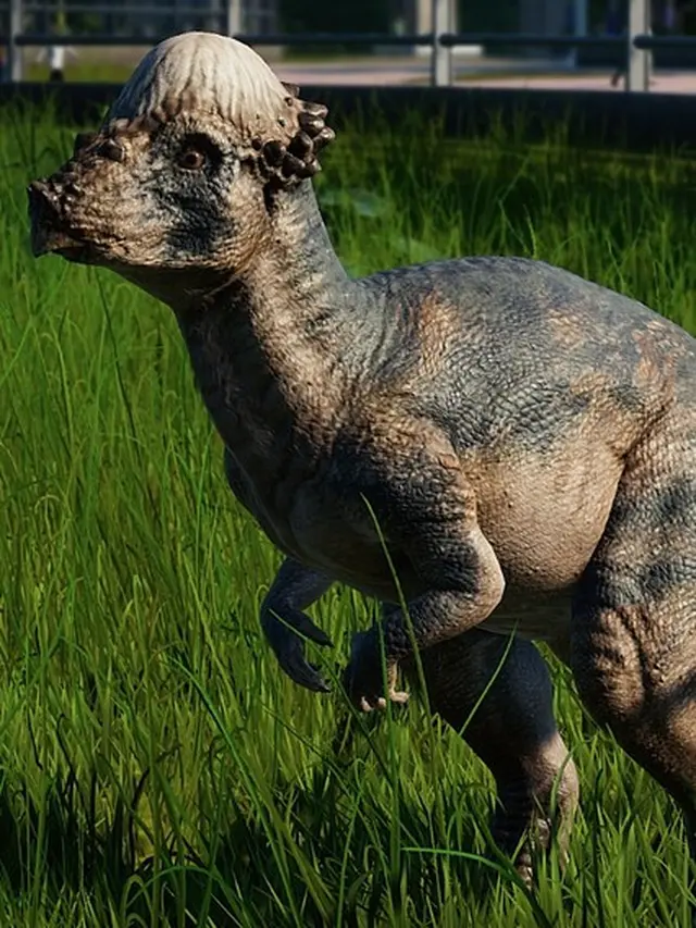 Pachycephalosaurus