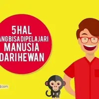 5 Hal yang Bisa Dipelajari dari Hewan