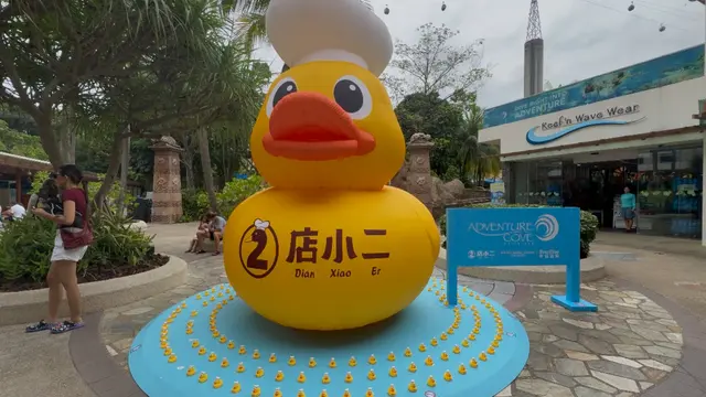 Bermain Air di Adventure Cove Waterpark. [Anisha/Fimela]