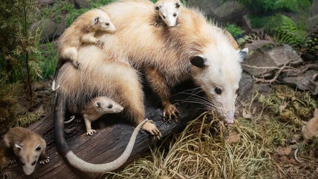 unsplash/Khải Đồng