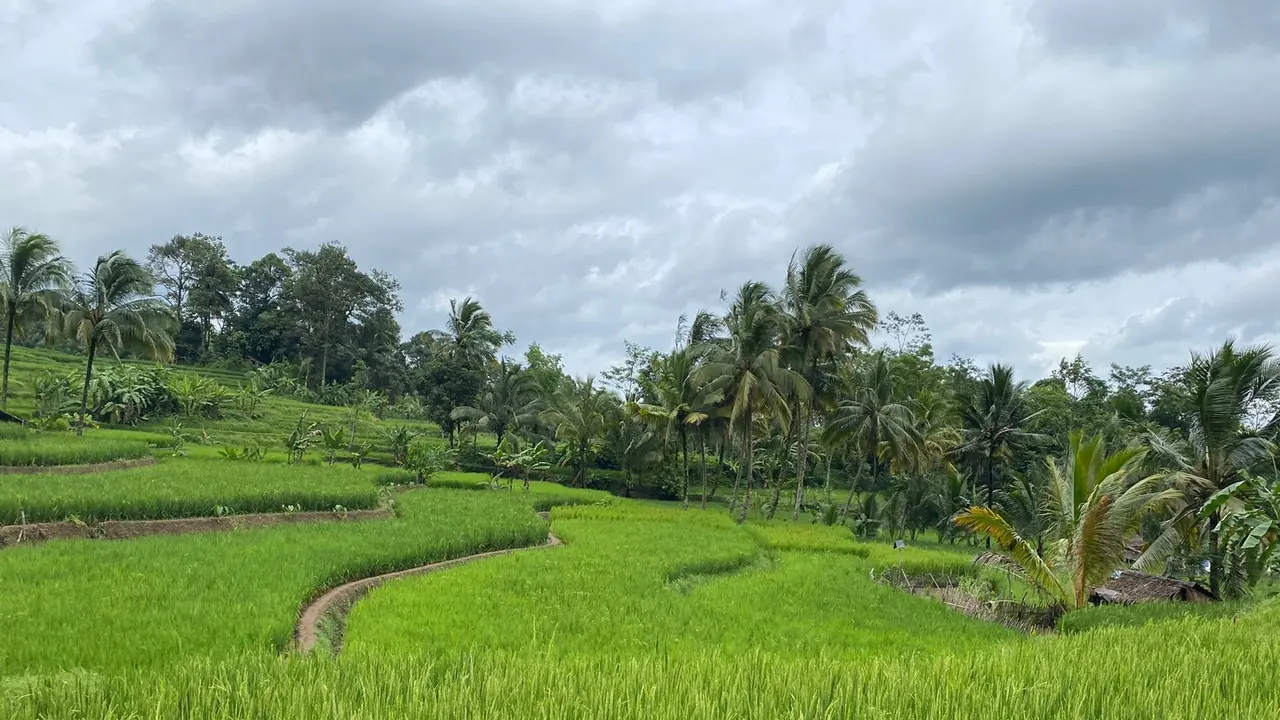 Mengenal Kawalu, Tradisi Orang Baduy Menutup Diri Dari Masyarakat Luar
