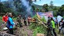 Anggota Badan Narkotika Nasional (BNN) bersama polisi dan tentara membakar tanaman ganja saat penggerebekan pada jalur hutan di Lamteuba, Provinsi Aceh, 18 Mei 2022. (CHAIDEER MAHYUDDIN/AFP)