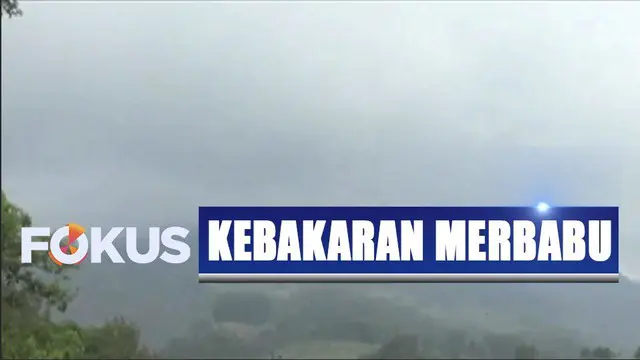 Kebakaran di lereng Gunung Merbabu kini sudah mencapai 250 hektar.