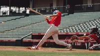 100 Jokes About Baseball That Surely Hit Home Run