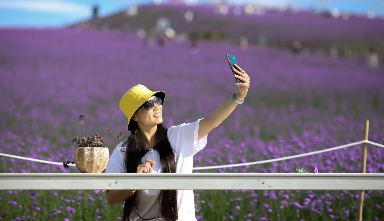 Seorang wisatawan berswafoto di padang verbena yang terletak di Gaopo, Guiyang, Ibu Kota Provinsi Guizhou, China, 14 Agustus 2020. (Xinhua/Zhang Hui)