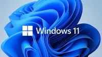 Windows 11. (Doc: Microsoft)