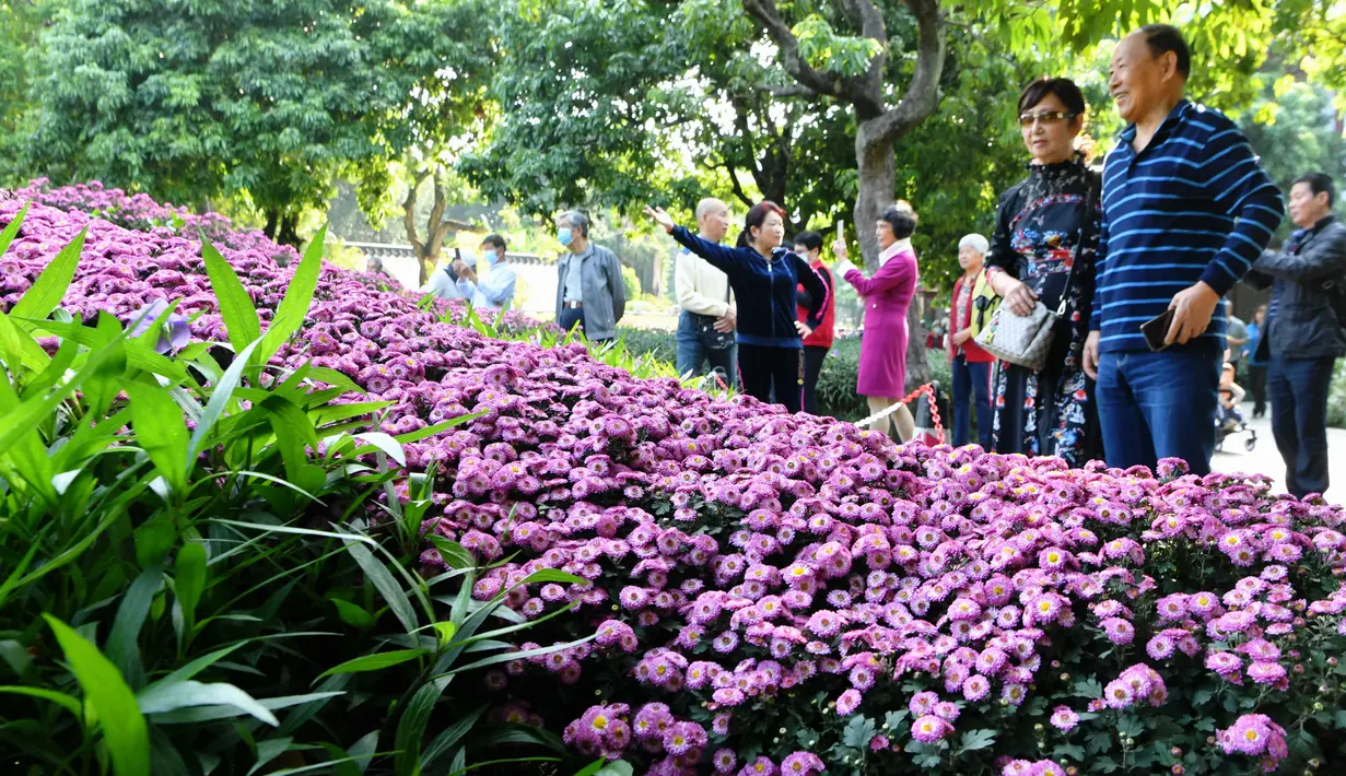 Orang-orang menikmati pesona bunga krisan di sebuah pameran di Fuzhou, ibu kota Provinsi Fujian, China pada 3 November 2020. Lebih dari 20.000 pot bunga krisan dari 1.000 lebih varietas dipertunjukkan dalam sebuah acara pameran di Taman Danau Barat di Fuzhou pada Selasa (3/11). (Xinhua/Wei Peiquan)