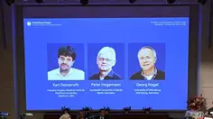 3 Ilmuwan Raih Nobel Kedokteran 2026 Berkat Terobosan Optogenetika
