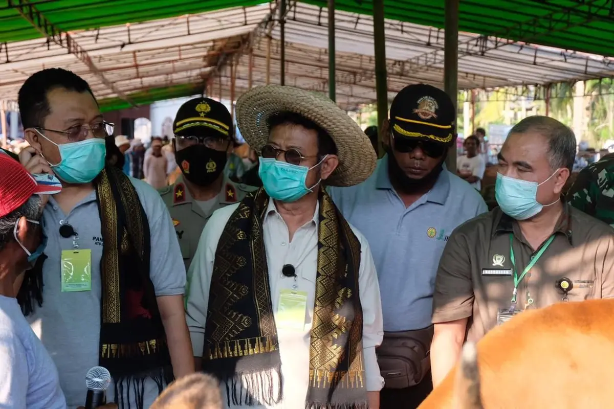 Mentan Syahrul Yasin Limpo melakukan panen 800 ekor pedet (sapi) beserta induknya di Desa Barabali, Kabupaten Lombok Tengah, NTB. (Dok Kementan)