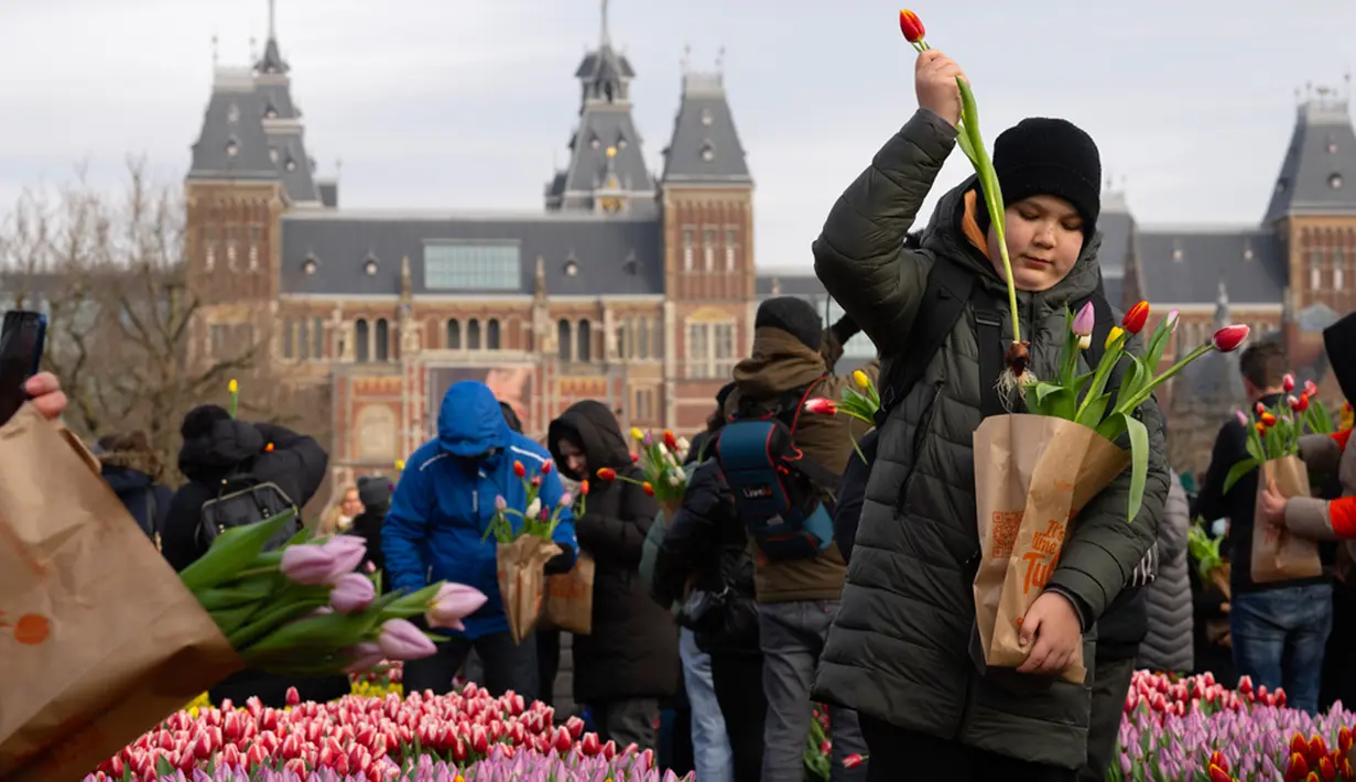 Sejak pagi, wisatawan maupun warga setempat mengantre untuk mendapatkan tulip yang disediakan secara gratis untuk dibawa pulang. (AP Photo/Peter Dejong)