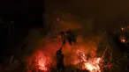 Seorang pria mencoba memadamkan api dengan dahan pohon di Trancoso, Portugal, pada 12 Agustus 2025. (PATRICIA DE MELO MOREIRA/AFP)