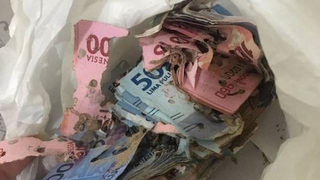 6 Momen Apes Uang Tabungan Dimakan Rayap Ini Bikin Nyesek Banget