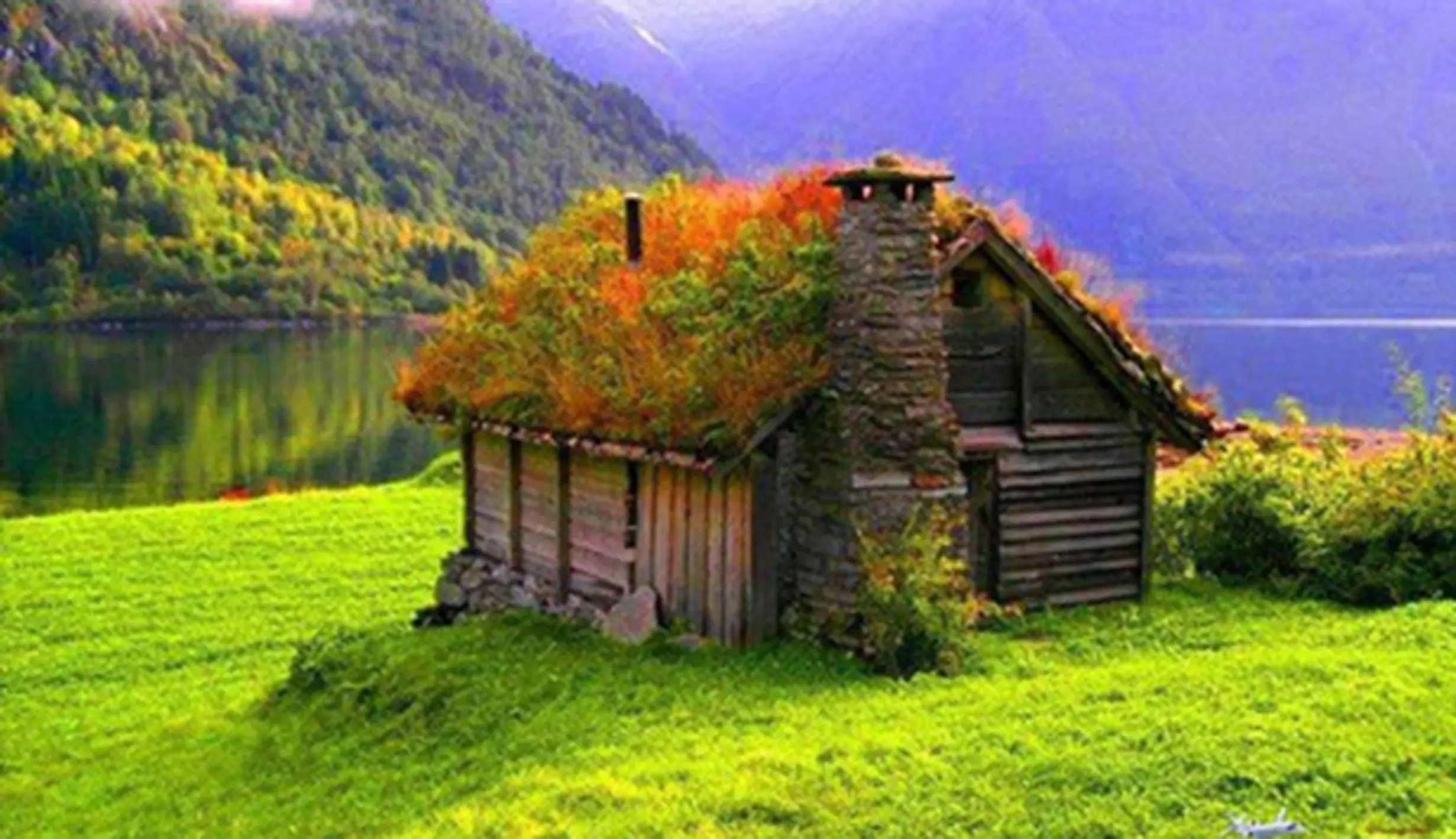 Rumah Unik Dengan Atap Rumput: Keren Abis Ladies