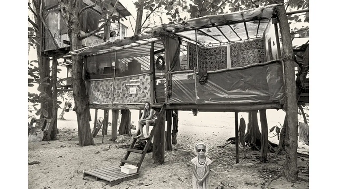 Menilik Kehidupan di Rumah Pohon Kaum Hippie Tahun 1969
