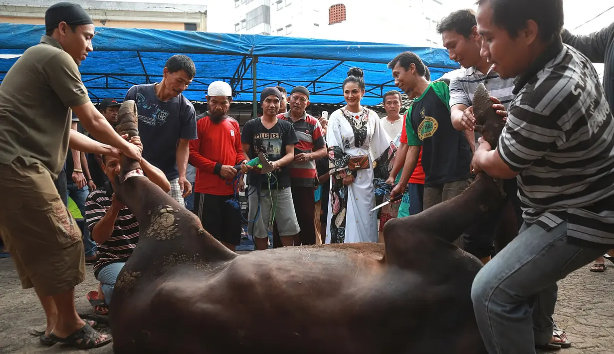 Krisdayanti memilih hari Sabtu (2/9) atau satu hari setelah Idul Adha untuk memotong hewan kurbannya. Lantaran saat hari raya Idul Adha bertepatan hari Jumat, jadi proses kurban tidak banyak waktu. (Bambang E Ros/Bintang.com)