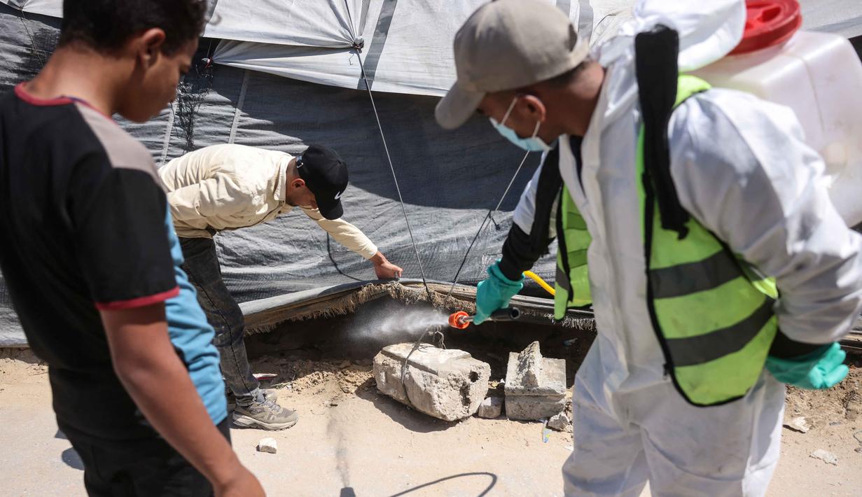 Sebagai informasi, menurut UNRWA, hampir 1,9 juta warga Palestina di Jalur Gaza telah mengungsi secara paksa sejak Oktober 2023. Tampak dalam foto, seorang pengungsi Palestina menyemprotkan cairan disinfektan pada jalan setapak dan tenda-tenda untuk membasmi serangga dan hewan pengerat di kamp pengungsian Khan Yunis, Jalur Gaza Selatan pada Rabu 22 April 2026. (Bashar Taleb/AFP)