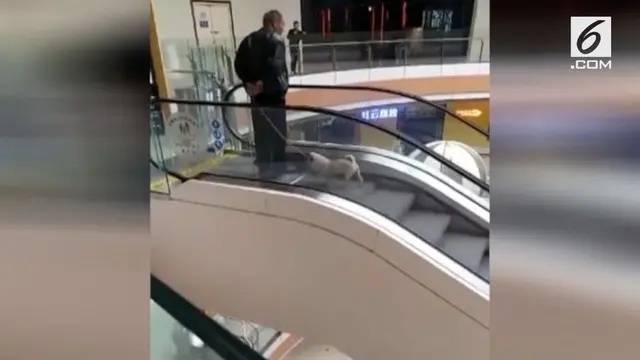 Seorang kakek menggunakan eskalator pusat perbelanjaan sebagai treadmill untuk anjingnya.