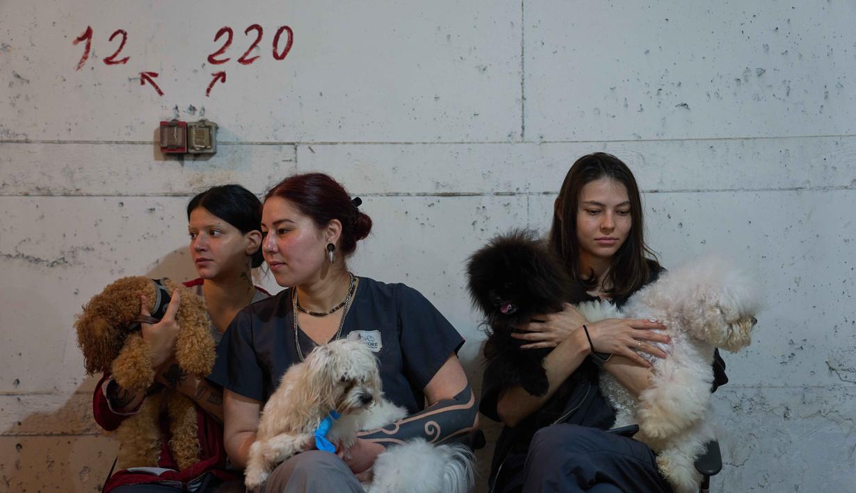 Hingga Rabu 25 Maret 2026, ketegangan antara Iran dan Israel telah terus meningkat. Tampak dalam foto, para pekerja salon anjing berlindung bersama anjing-anjing mereka di tempat perlindungan bom saat sirene serangan udara memperingatkan akan datangnya serangan rudal Iran di Ramat Gan, Israel, Rabu, 25 Maret 2026. (AP Photo/Oded Balilty)
