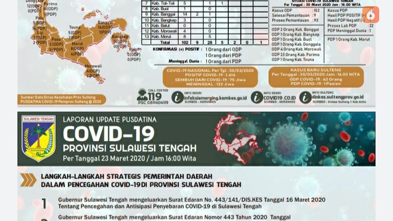 data Pusdatin Sulteng