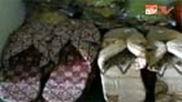 Pelepah Pisang Jadi Barang Unik