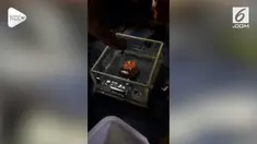 Petugas gabungan berhasil menemukan bagian black box pesawat Lion Air JT 610 yang mengalami kecelakaan di Karawang, Jawa Barat.