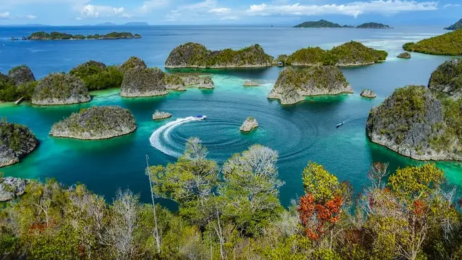 5 Tambang Nikel Raja Ampat: 2 Izin dari Pusat dan 3 dari Daerah