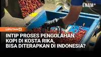 Intip Proses Pengolahan Kopi di Kosta Rika, Cocok Diterapkan di Indonesia?