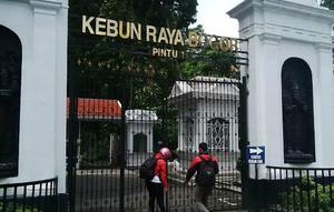 Dalam peristiwa penutupan Kebun raya Bogor kemarin, 14 tanaman koleksi dan 4 tanaman non-koleksi tumbang.