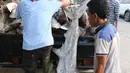 Pekerja tengah menurunkan ikan hiu di Muara Angke, Jakarta, Kamis (7/6). Populasi ikan hiu terus menurun akibat terus dikonsumsi secara domestik maupun untuk ekspor. (Liputan6.com/Angga Yuniar)
