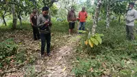 Foto: Warga Desa Kerirea, Kecamatan Magepanda, Kabupaten Ende, NTT mencari sinyal di ketinggian (Liputan6.com/Dion)
