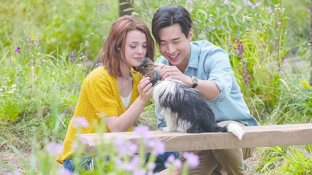 A Dog's Journey (DreamWorks)