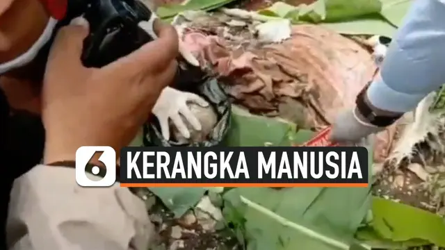 kerangka manusia