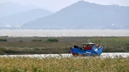 Foto pada 8 November 2020 menunjukkan pemandangan lahan basah muara Sungai Minjiang di Fuzhou, Provinsi Fujian, China. Lahan basah muara tersebut merupakan area konsentrasi utama untuk burung-burung yang bermigrasi dan habitat bagi unggas air, termasuk spesies langka. (Xinhua/Wei Peiquan)