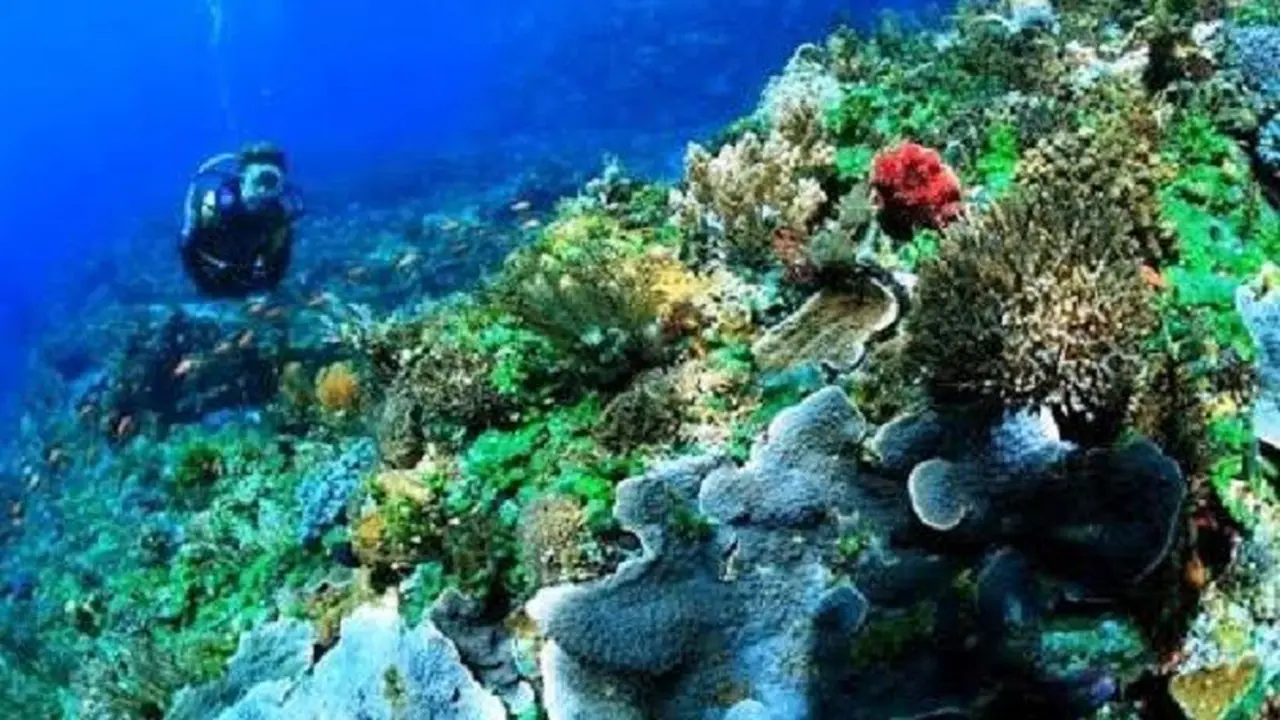 Wisata NTT
