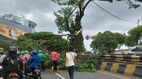 Pohon tumbang sempat menutup Jalan Raya Juanda, Kota Depok. (Istimewa)