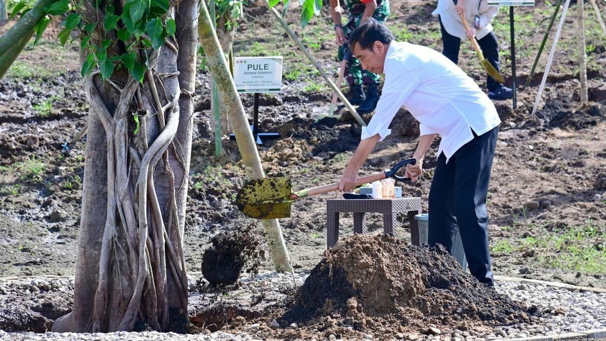 Tanam Pohon Bersama Warga, Jokowi: Tindakan Nyata Hadapi Perubahan Iklim