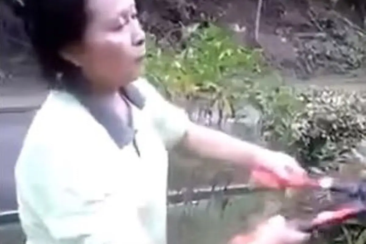 Bikin Mual! Lagi Potong Tanaman, Ibu Ini Makan Bayi Burung Mentah