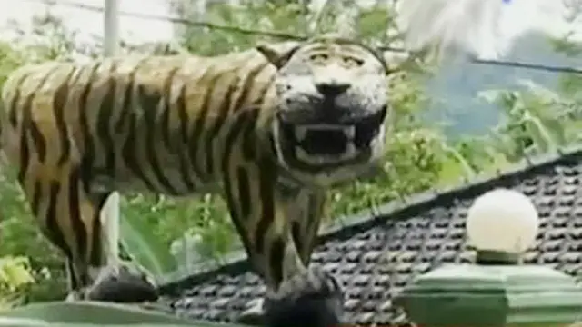 Patung Harimau Lucu hingga Wisata Labuan Bajo