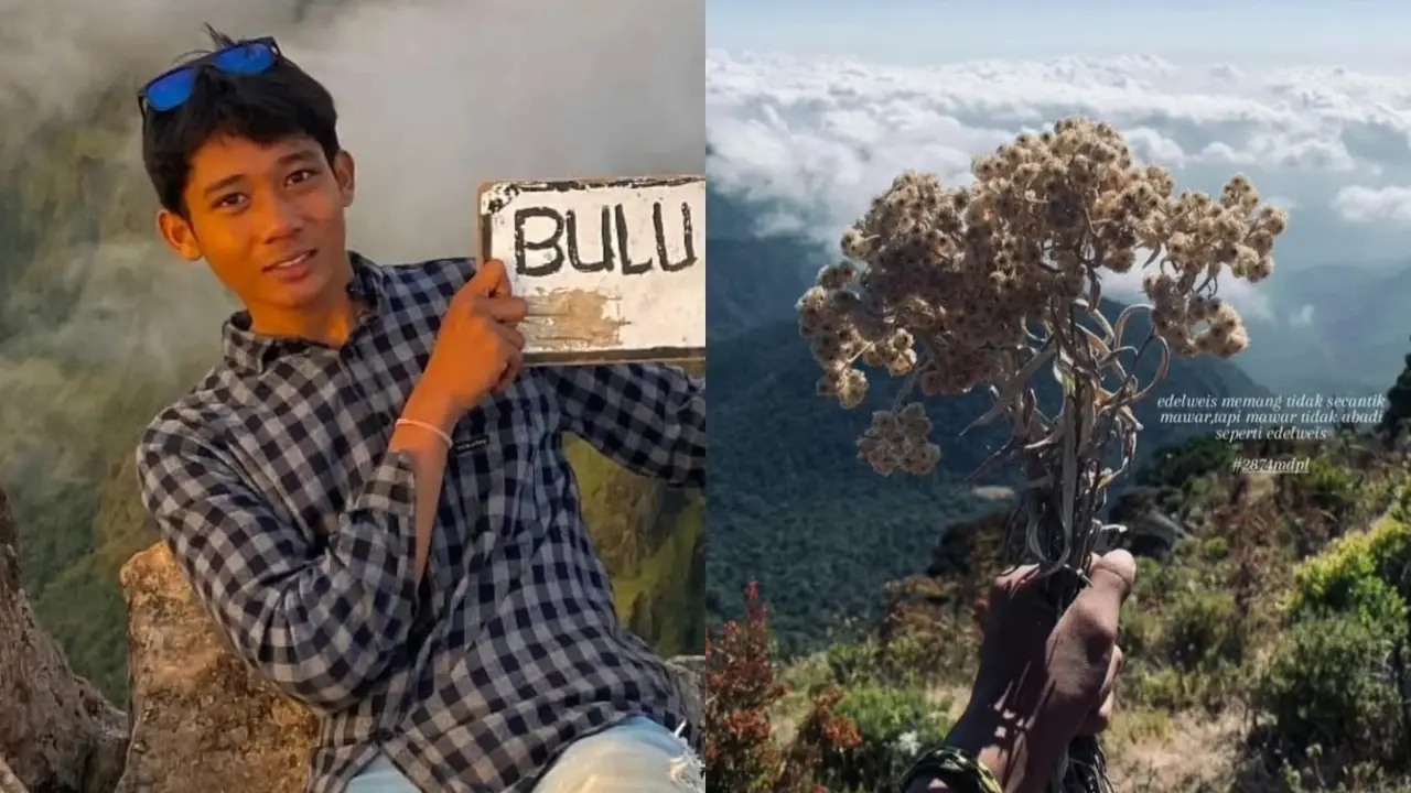 Nekat Petik Bunga Edelweis, Pendaki Gunung Lompobattang Disanksi Blacklist 10 Tahun
