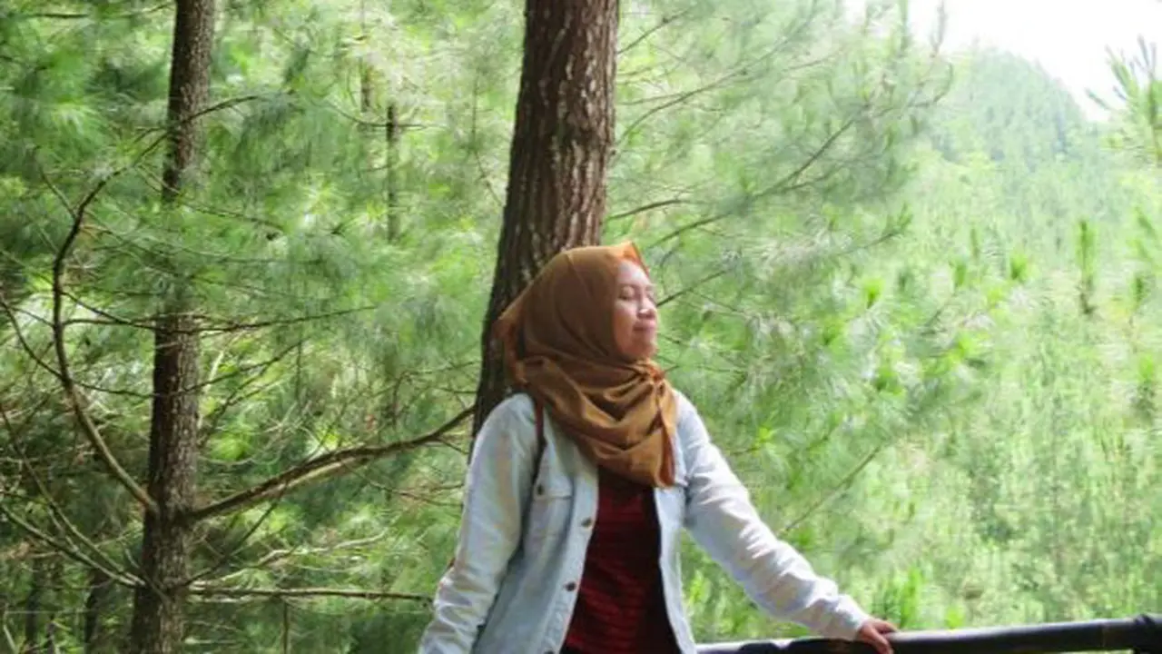 Pinus Kita Pacitan Jadi Wisata Baru Kekinian di Jawa Timur