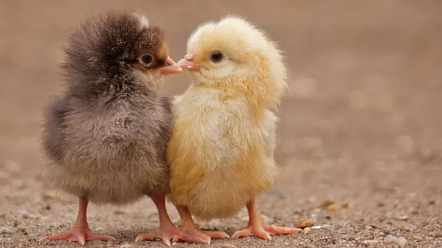 (c) shutterstock.com