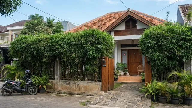 Model pagar hidup dari tanaman yang bikin rumah lebih sejuk dan privat menggunakan bambu Jepang