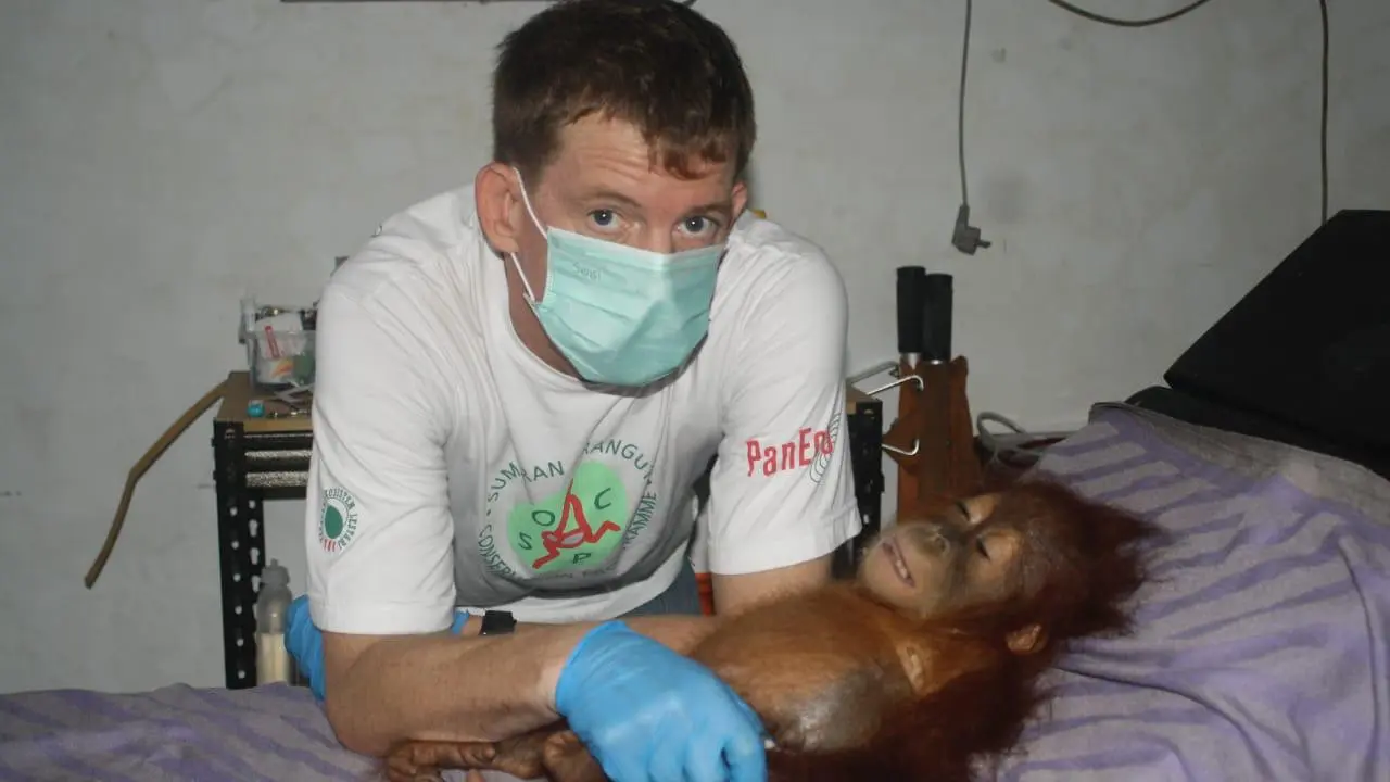 Dr Ian Singleton, pelestari orang utan asal Inggris.