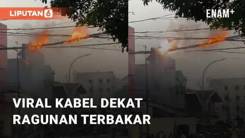 VIDEO: Viral Kabel Di Dekat Taman Margasatwa Ragunan Terbakar, Dikerubungi Warga