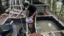 Devti (33) memberi pakan di kolam budi daya ikan Samawa Fish, Pondok Kelapa, Jakarta, Selasa (15/2/2022). Budi daya ikan yang diinisiasi sejumlah warga Menara Samawa ini guna menjaga ketahanan pangan di tengah pandemi bagi sesama penghuni rusun. (merdeka.com/Iqbal S. Nugroho)