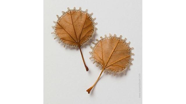 Wanita Ini Bisa Ubah Daun Kering Menjadi Karya Seni, 5 Hasilnya Bikin Takjub