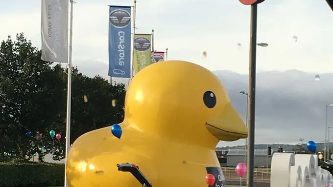 [Bintang] Simak Kelucuan Bebek Raksasa yang Terguling Dibawa Angin