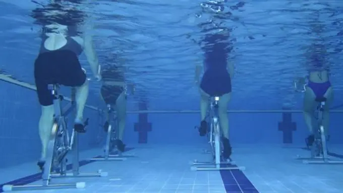 Copyright by Shutterstock.com