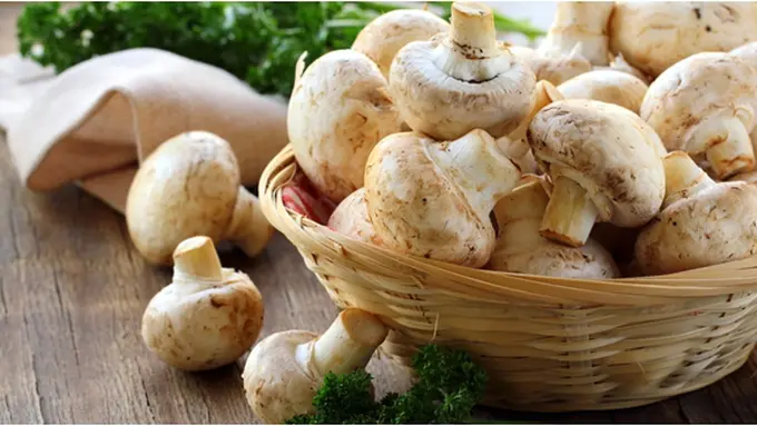 Courtesy ShutterStock.com